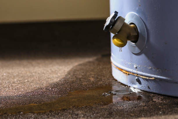 Best Flood restoration services  in Berryville, VA