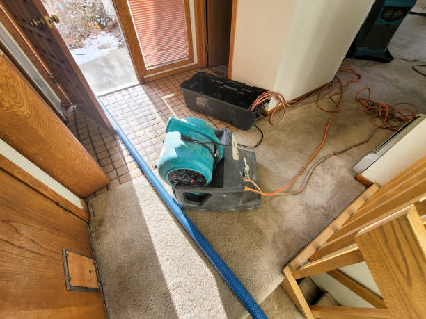 Best Water damage contractors near me  in Berryville, VA