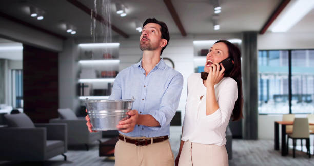 Best Ceiling water damage repair  in Berryville, VA