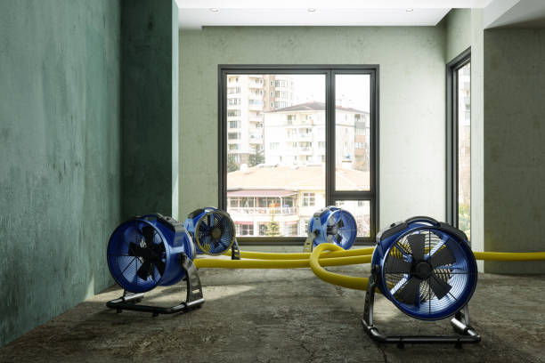 Water damage restoration experts in VA